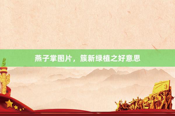 燕子掌图片，簇新绿植之好意思