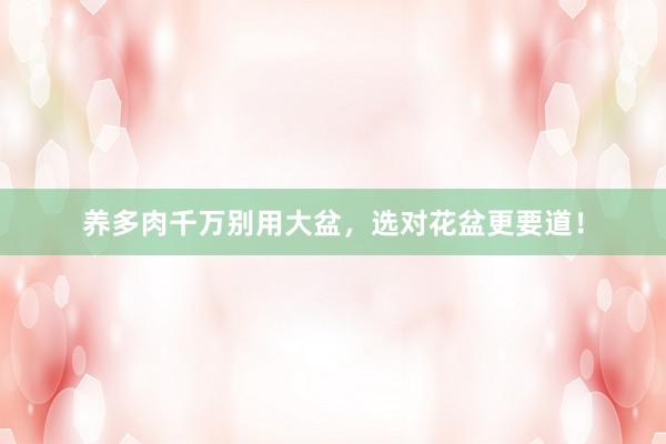 养多肉千万别用大盆，选对花盆更要道！