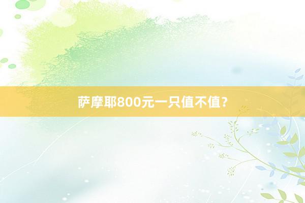 萨摩耶800元一只值不值？
