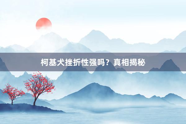 柯基犬挫折性强吗？真相揭秘